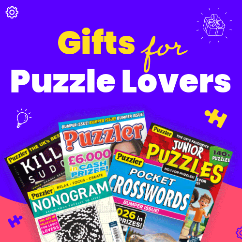 Gifts for puzzle lovers